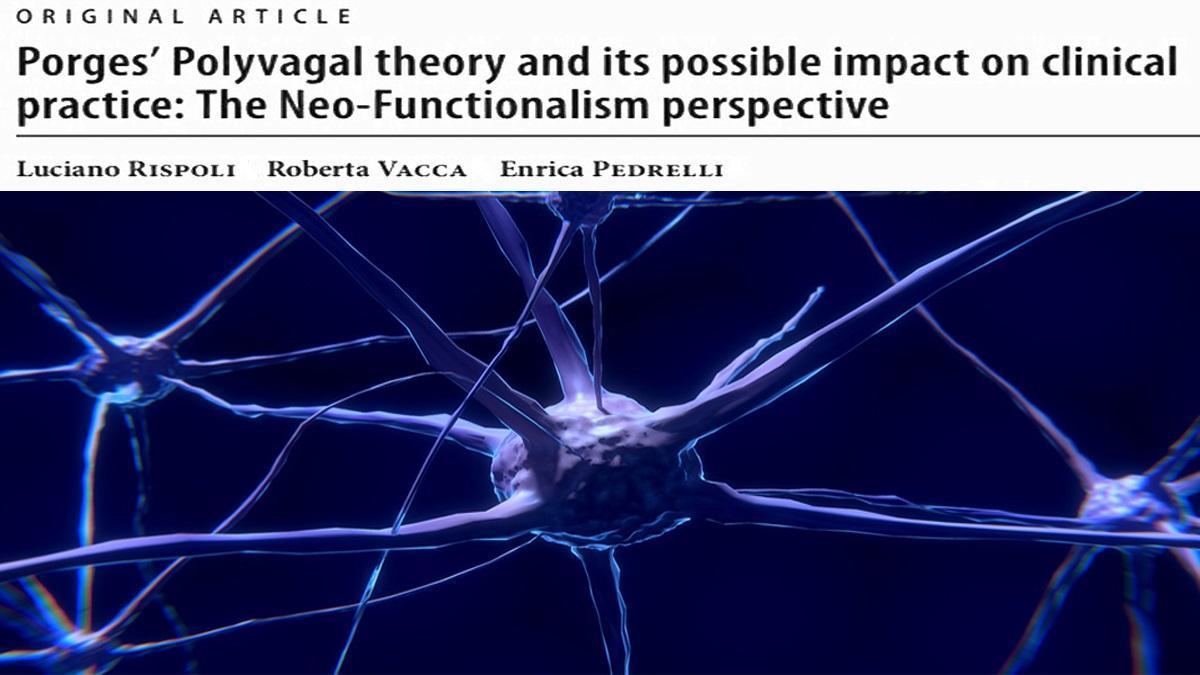 Psicologia e Neuroscienze – Psicoterapia Funzionale versus Teoria Polivagale
