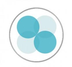 logo sif